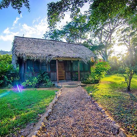 Bocawina Rainforest Resort Hopkins Exterior photo