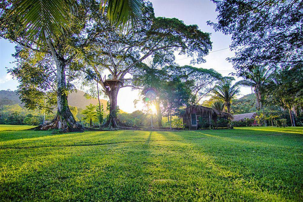 Bocawina Rainforest Resort Hopkins Exterior photo