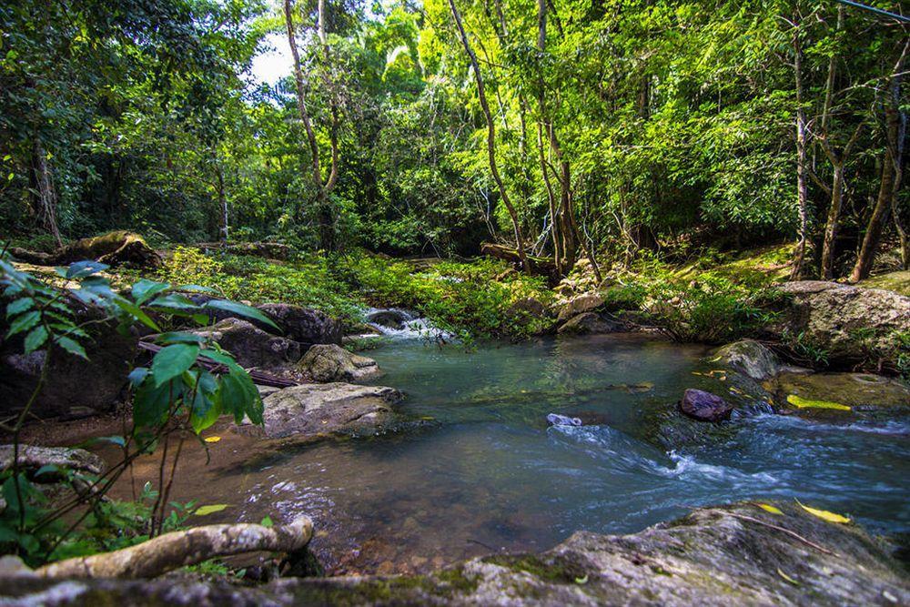 Bocawina Rainforest Resort Hopkins Exterior photo