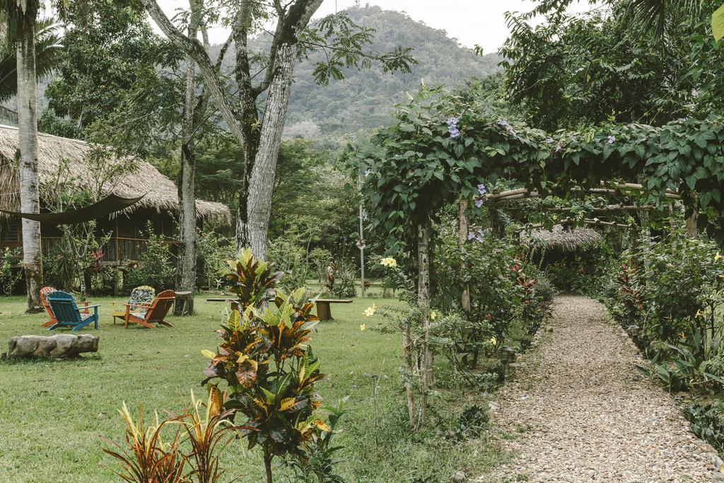 Bocawina Rainforest Resort Hopkins Exterior photo