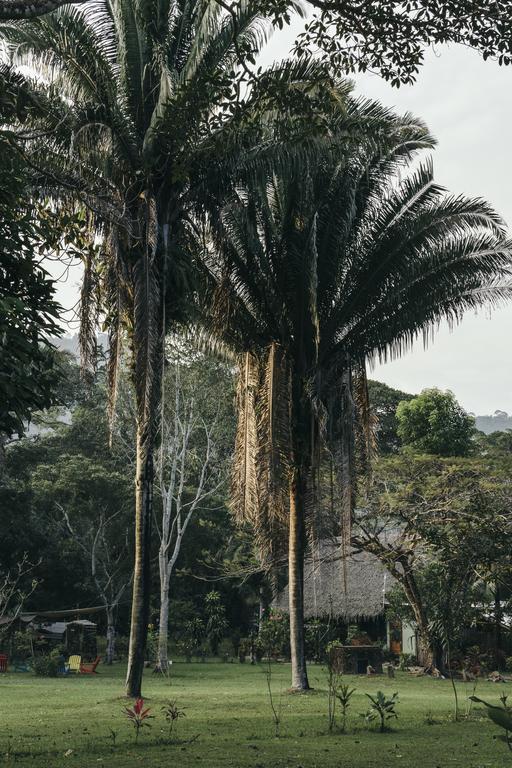 Bocawina Rainforest Resort Hopkins Exterior photo