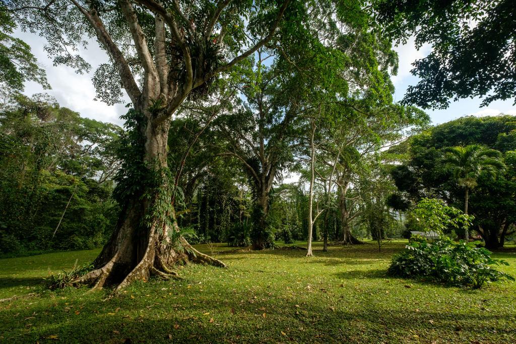 Bocawina Rainforest Resort Hopkins Exterior photo