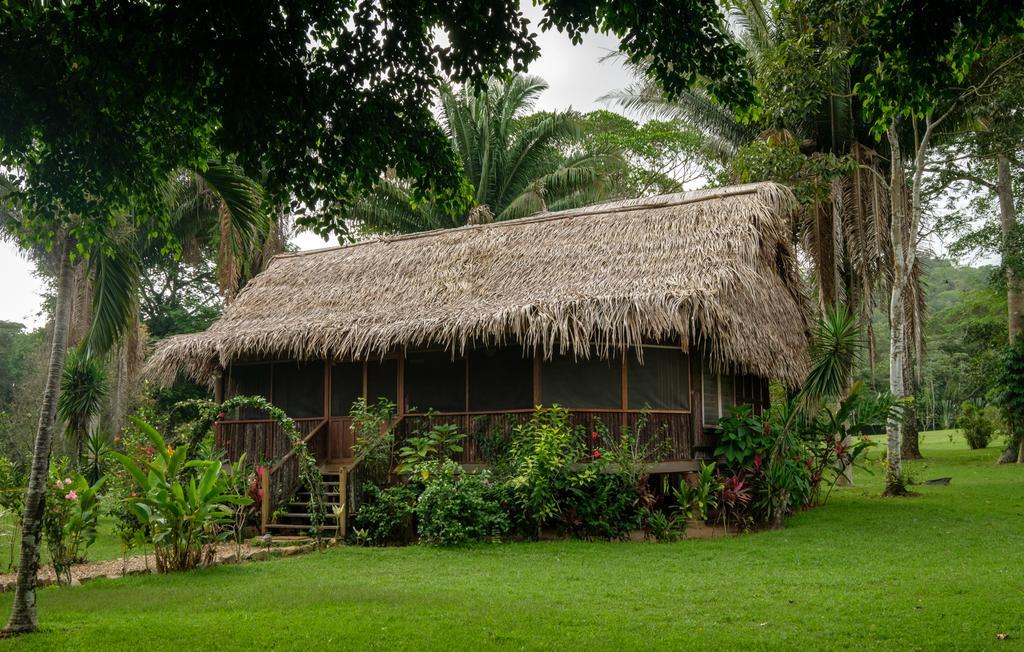 Bocawina Rainforest Resort Hopkins Exterior photo