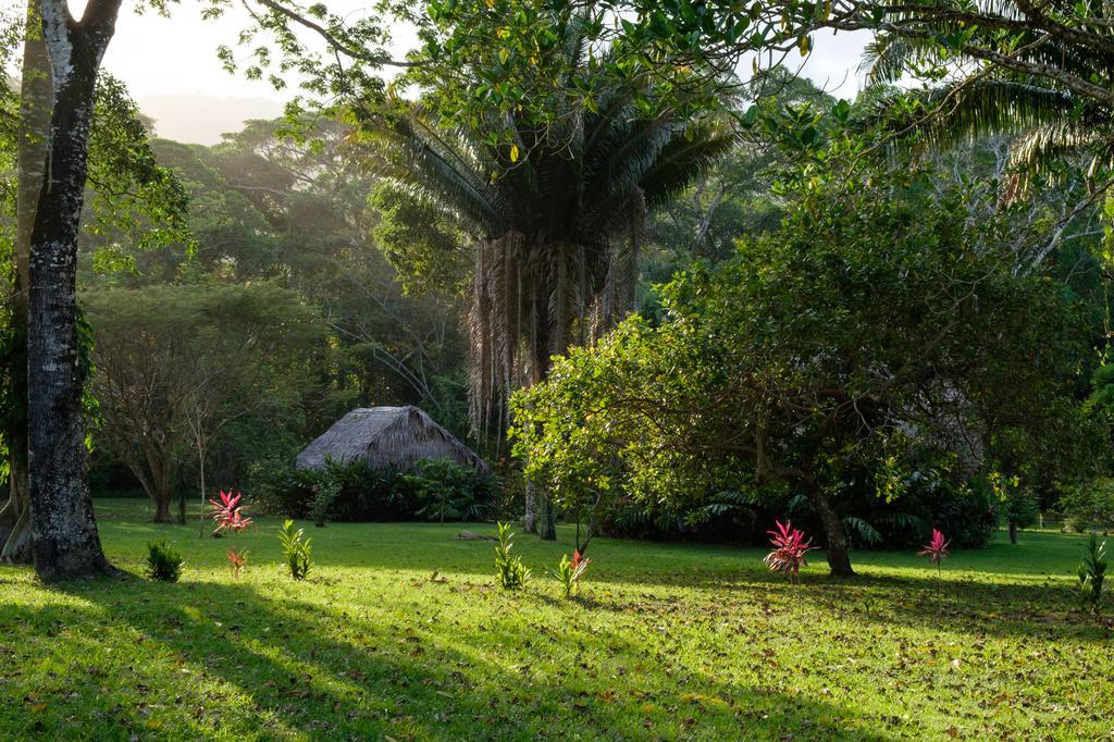 Bocawina Rainforest Resort Hopkins Exterior photo