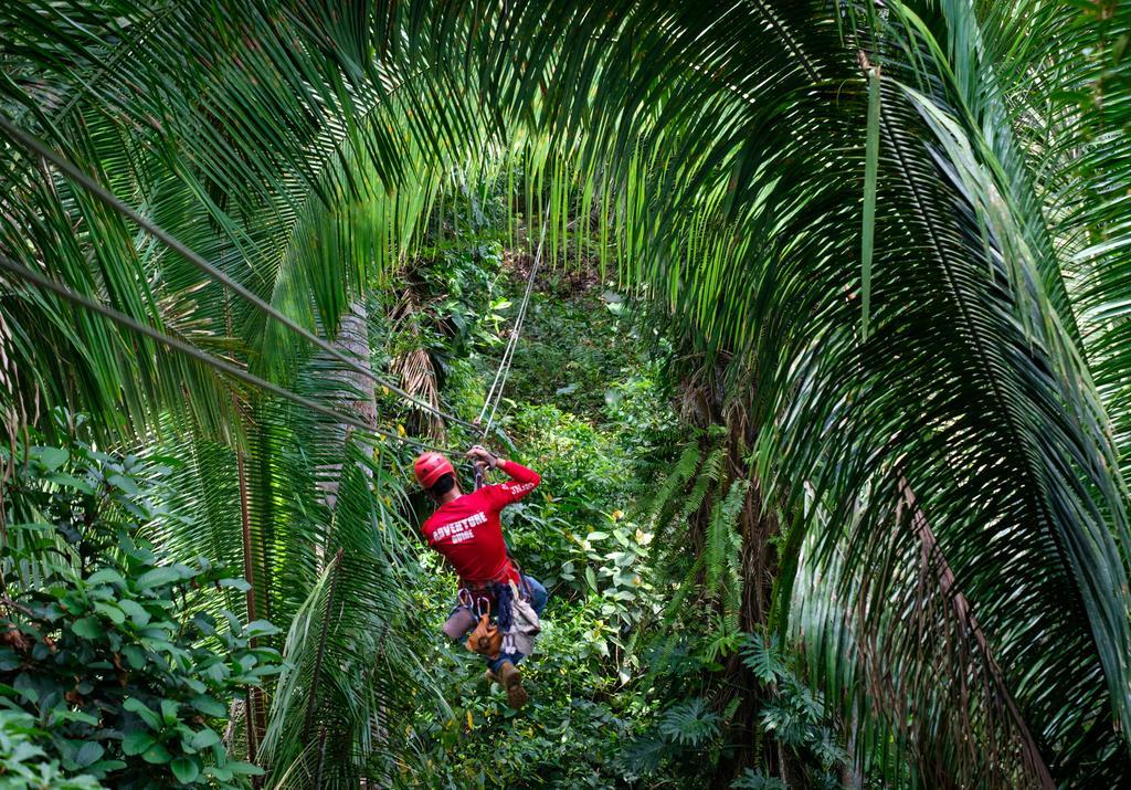 Bocawina Rainforest Resort Hopkins Exterior photo