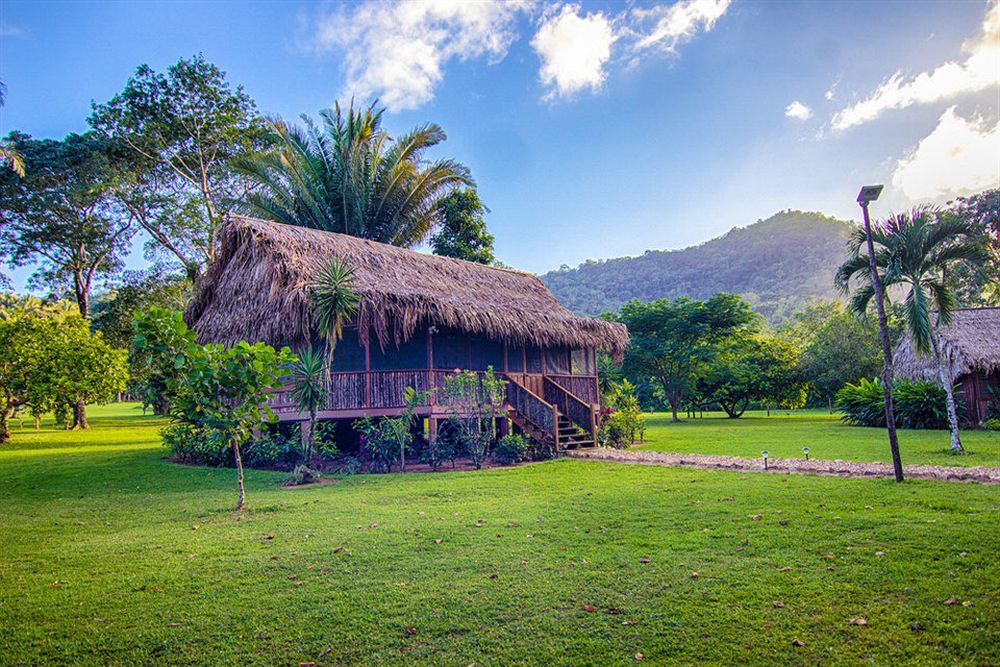 Bocawina Rainforest Resort Hopkins Exterior photo