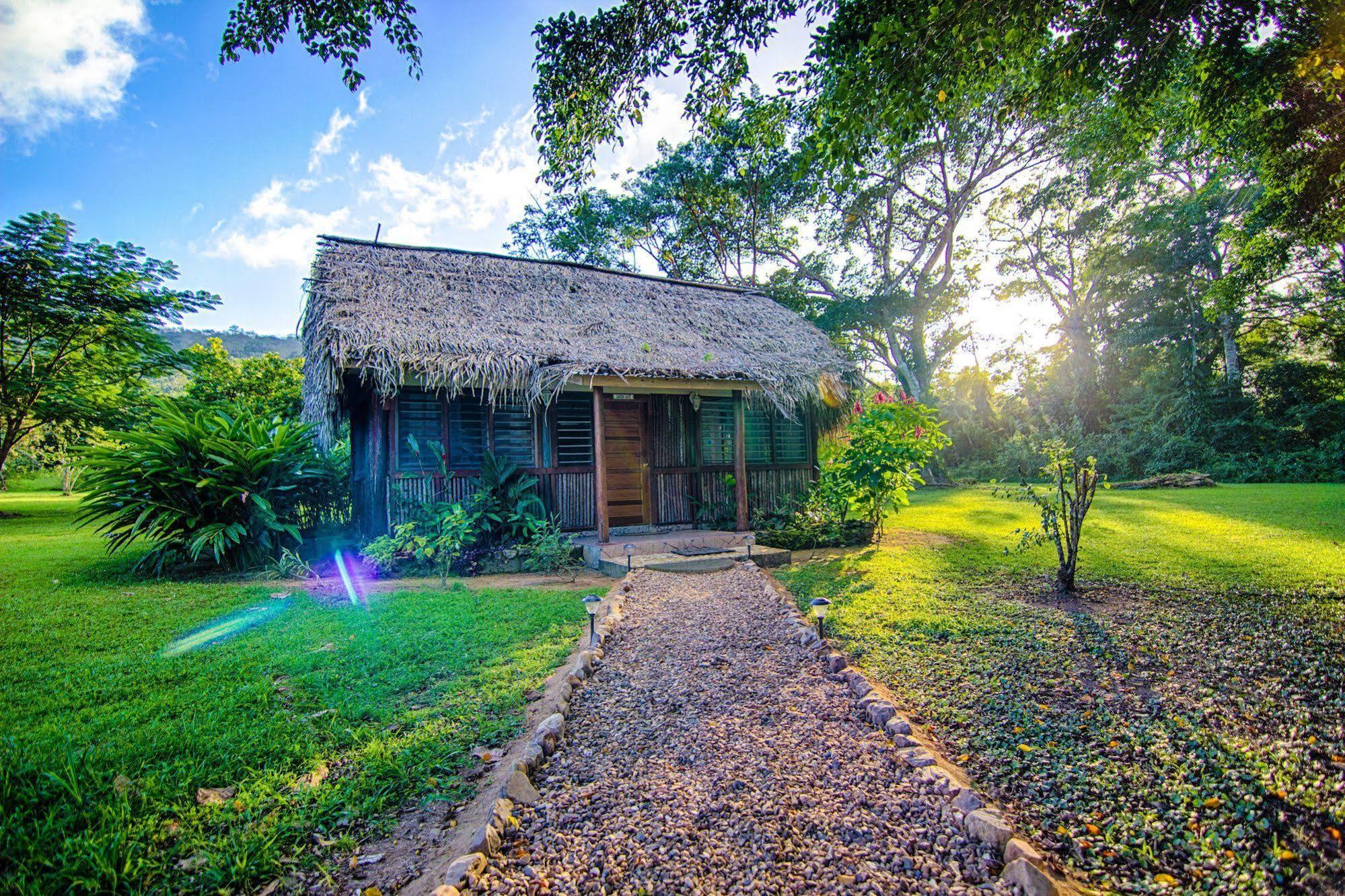 Bocawina Rainforest Resort Hopkins Exterior photo